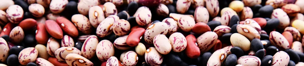 حبوبات رژیم غذایی پگان